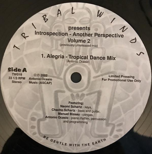 Antonio Ocasio - Introspection - Another Perspective Volume 2