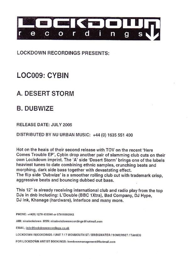 CyBin - Desert Storm / Dubwize
