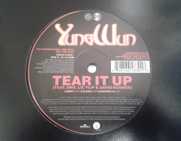 DMX, Lil' Flip, David Banner, Yung Wun - Tear It Up