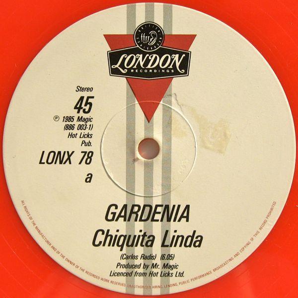 Gardenia - Chiquita Linda