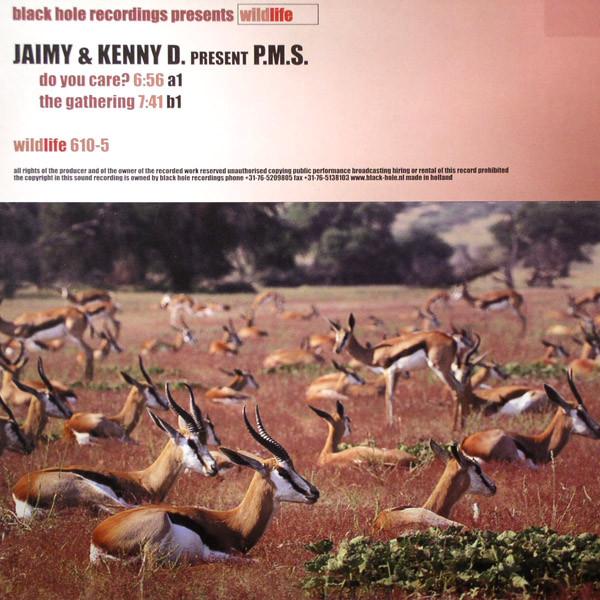 Jaimy & Kenny D., P.M.S. - Do You Care? / The Gathering