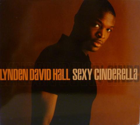 Lynden David Hall - Sexy Cinderella