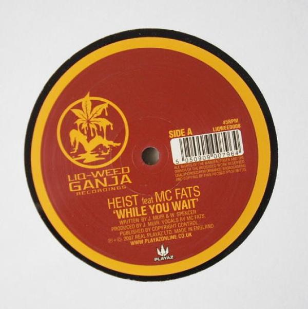 MC Fats, Heist, Strider (4) - While You Wait / Rollin Good