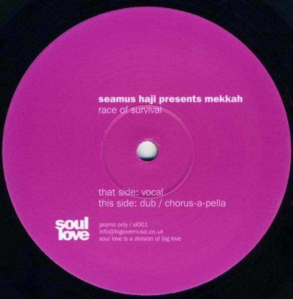 Mekkah, Seamus Haji - Race Of Survival