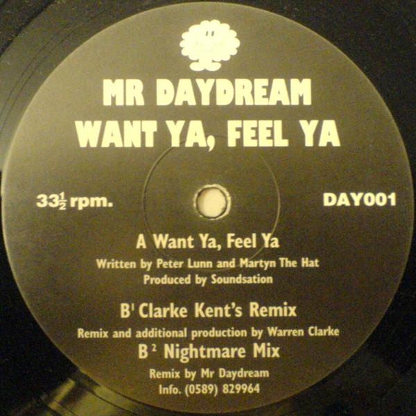 Mr Daydream - Want Ya, Feel Ya