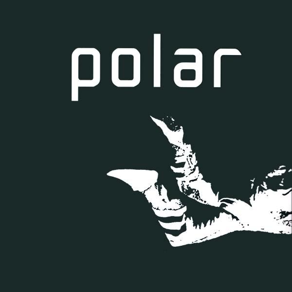 Polar - Skydiver