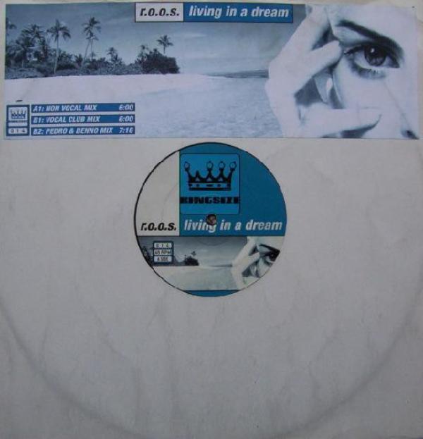 R.O.O.S. - Living In A Dream