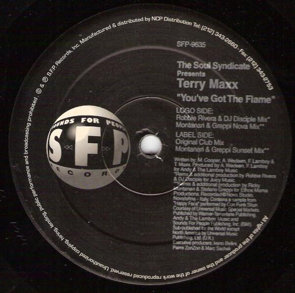 Terry Maxx, Soul Syndicate - You've Got The Flame