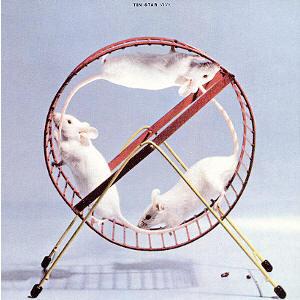 Tin Star - Viva