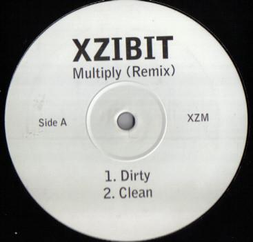 Xzibit - Multiply (Remix)
